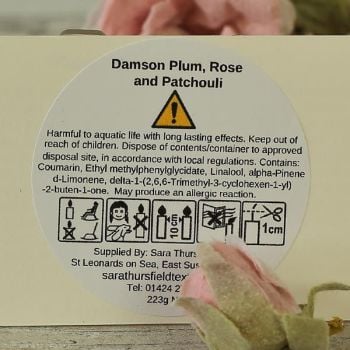 CLP Dam plum rose patch
