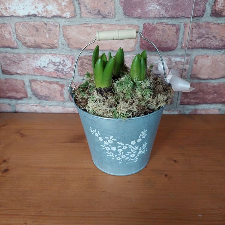 Planted Gift Baskets