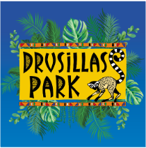 Drusillas