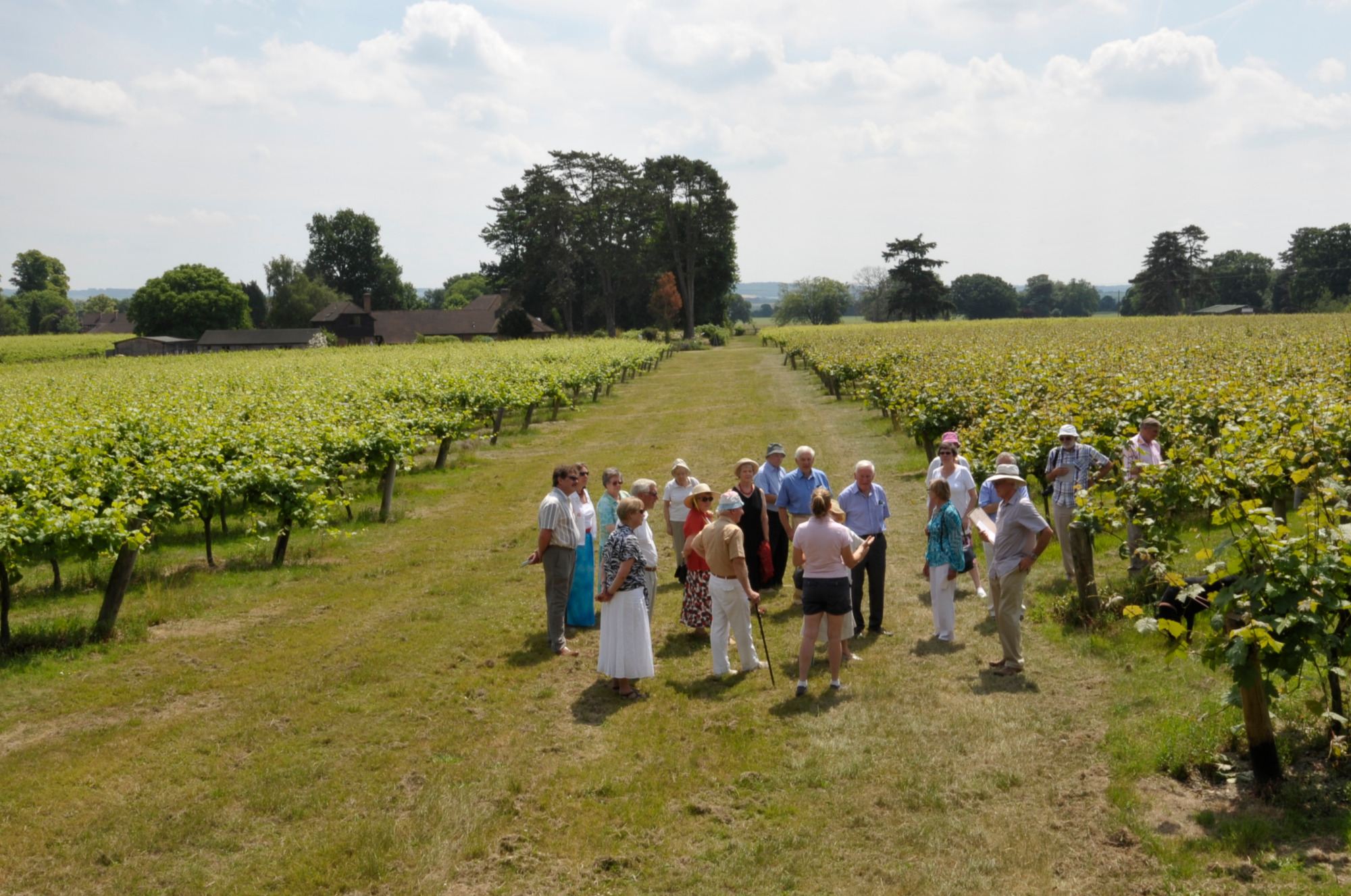 vineyard tours england