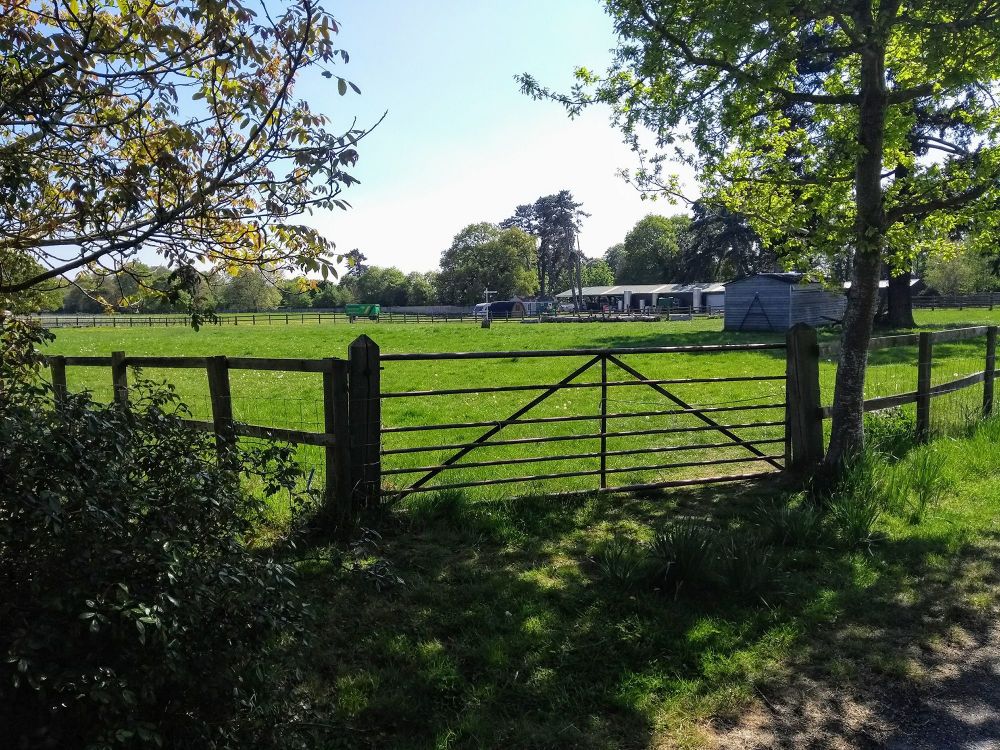Brightwell Vineyard Enclosed Dog Walking Field