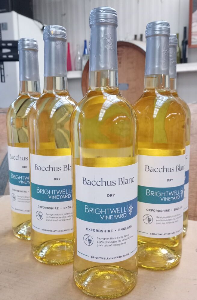 Bacchus Blanc