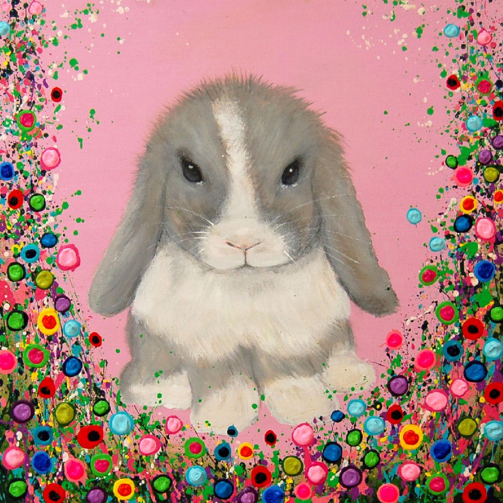 MINI LOP RABBIT