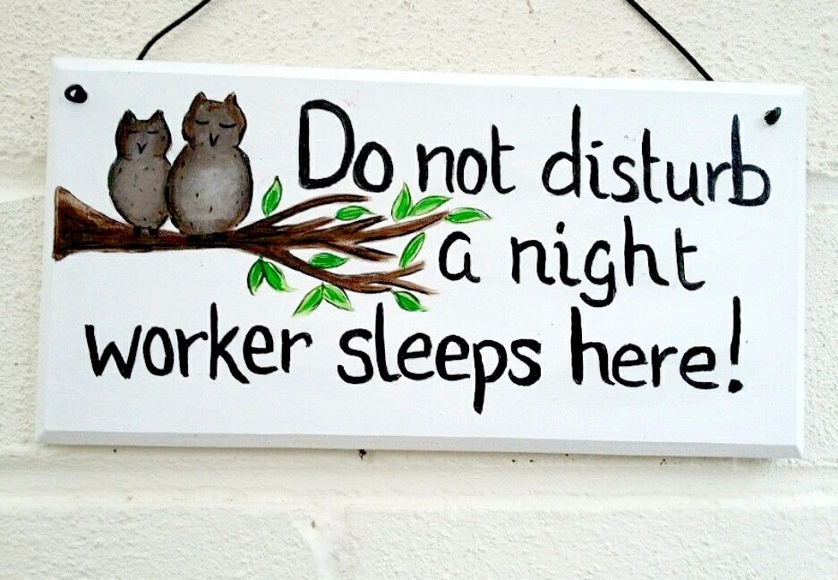  Do Not Disturb Plaque Sign Owl Theme Personalised 