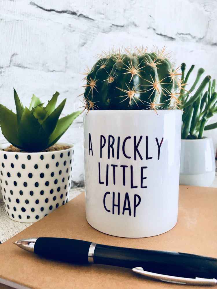 A prickly little chap Plant Pot