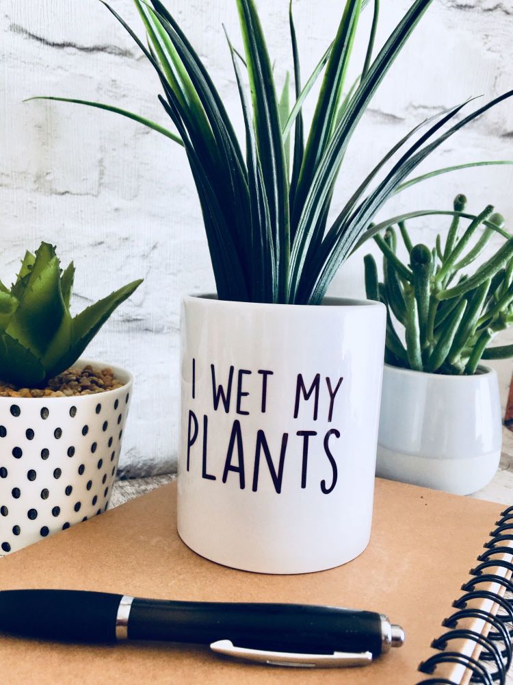 I wet my plants  Plant Pot