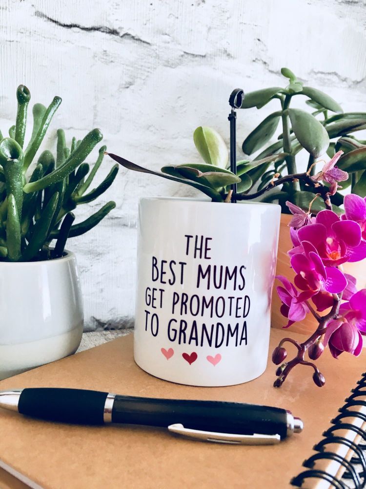 The Best Mums get promoted to... Plant Pot