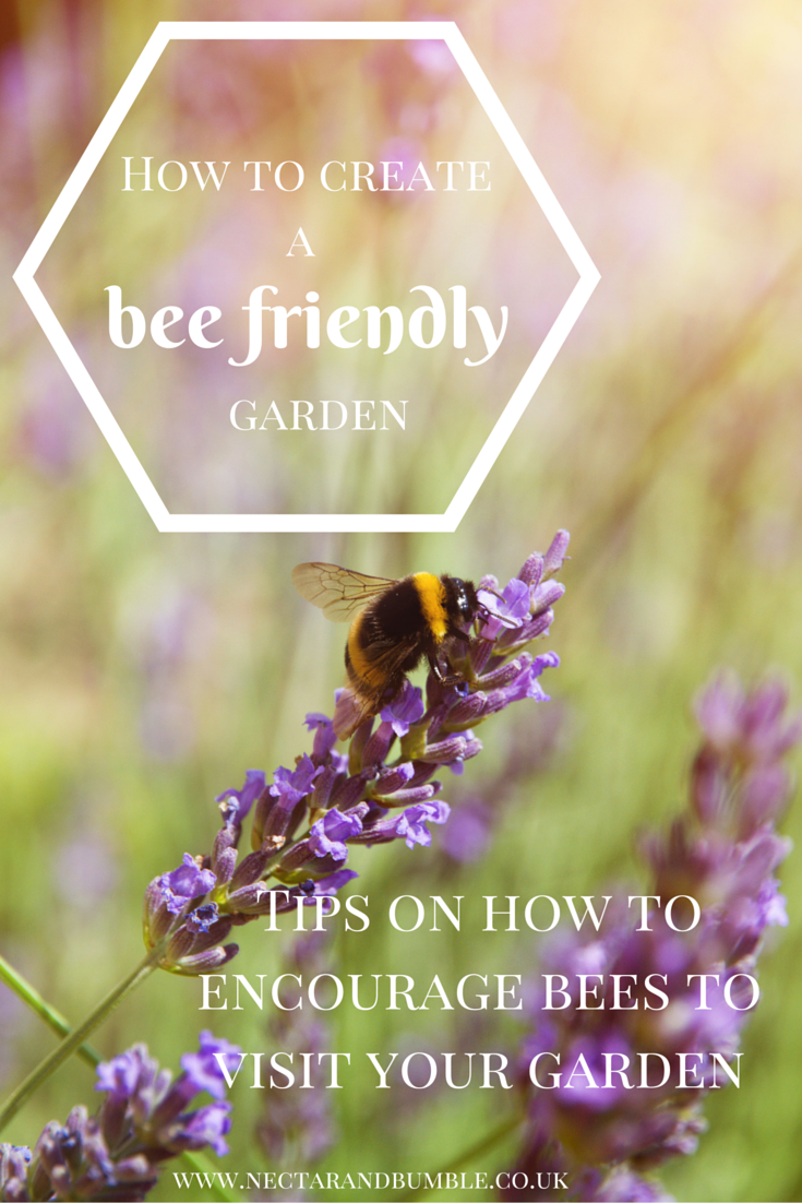 How to make a bee friendly garden