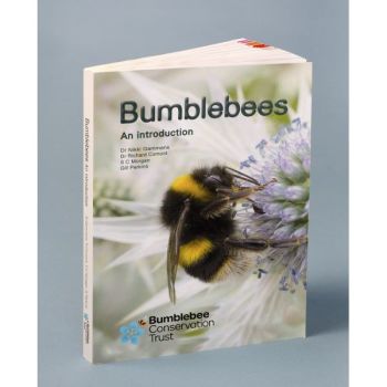 Bumblebees - an introduction
