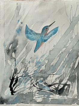 Kingfisher , flying 
