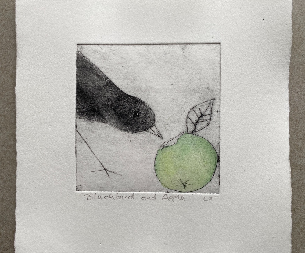 Blackbird and apple (1)