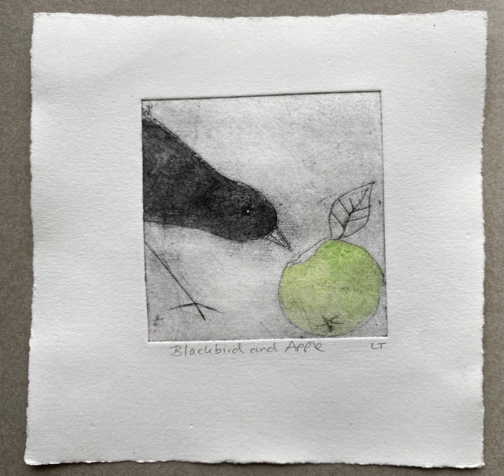 Blackbird and apple (2)