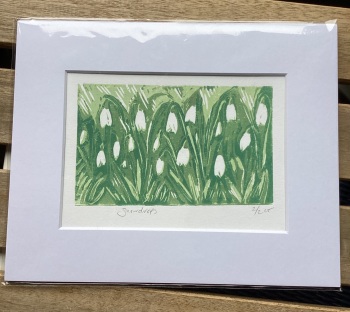 Snowdrops
