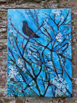 Blackbird and blossom
