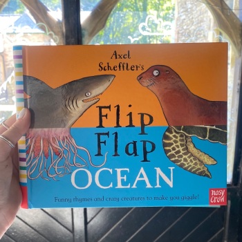 Flip Flap ocean