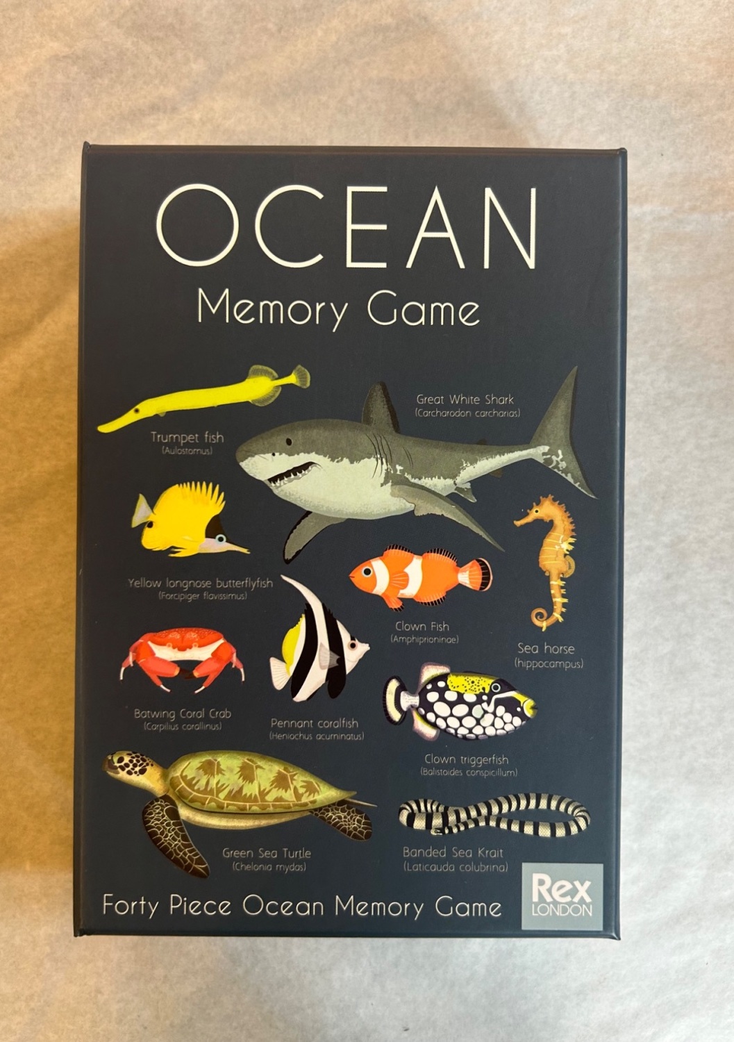 Ocean memory game