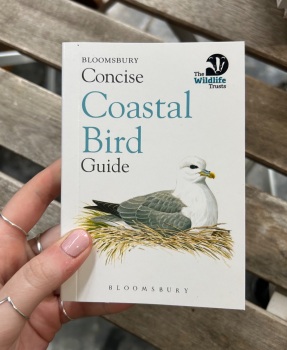 Bloomsbury concise coastal bird guide