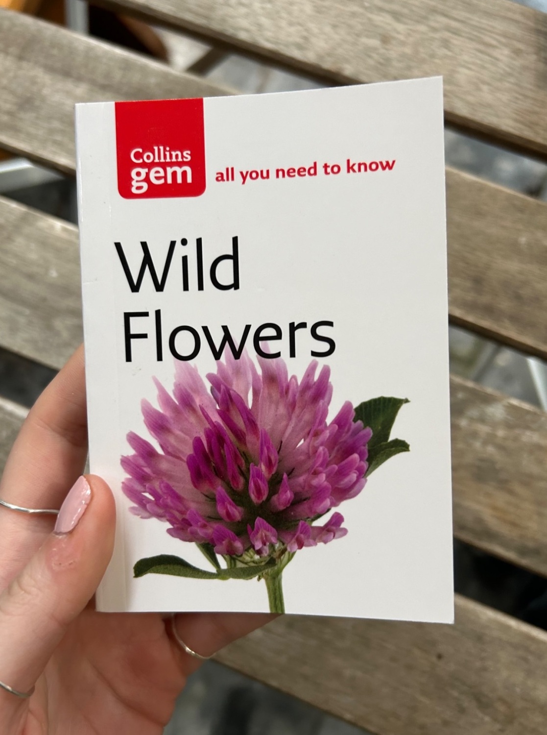 Collins gem , Wild Flowers