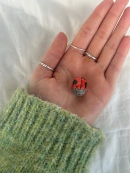 Tiny Ladybird