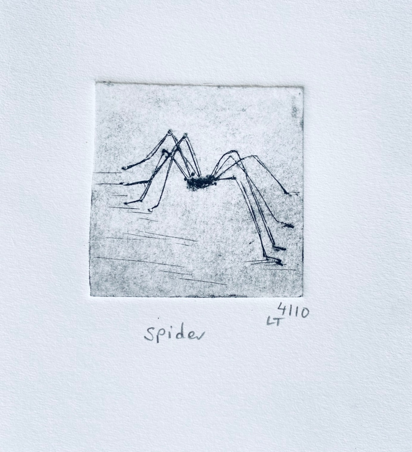 Spider