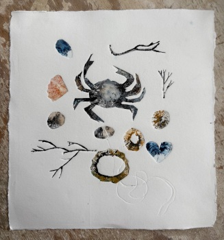 Crab and shells