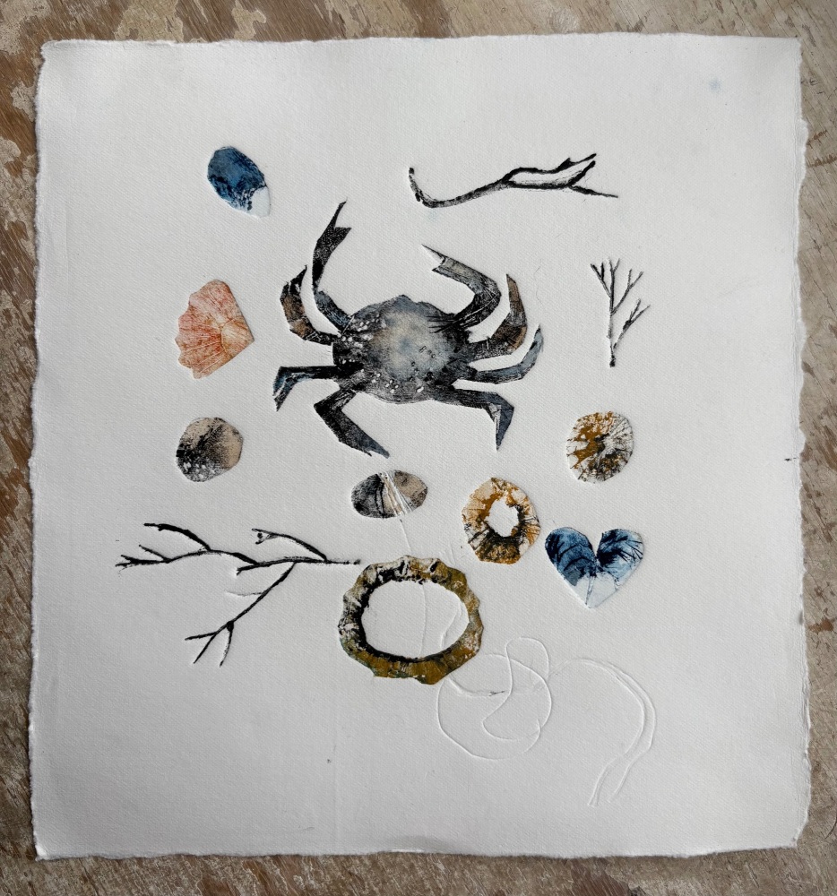 Crab and shells
