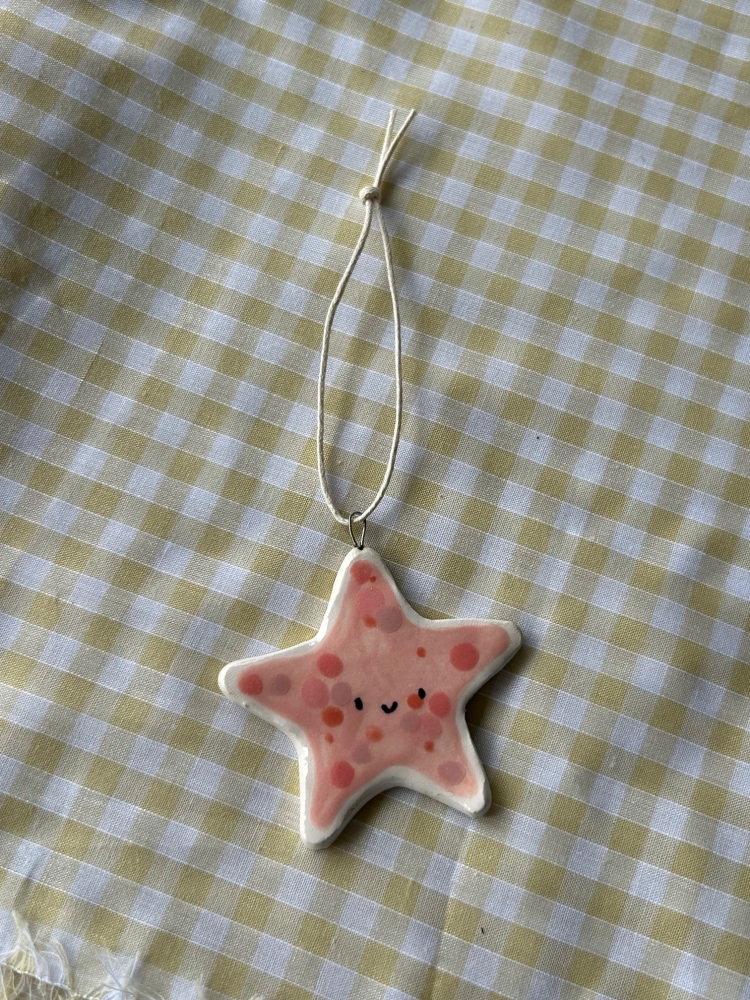Starfish hanger