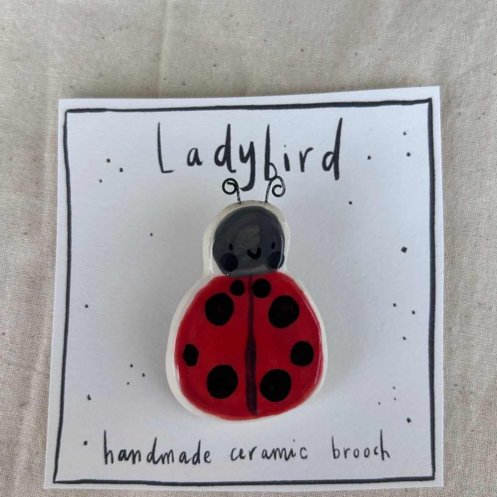 Ladybird brooch