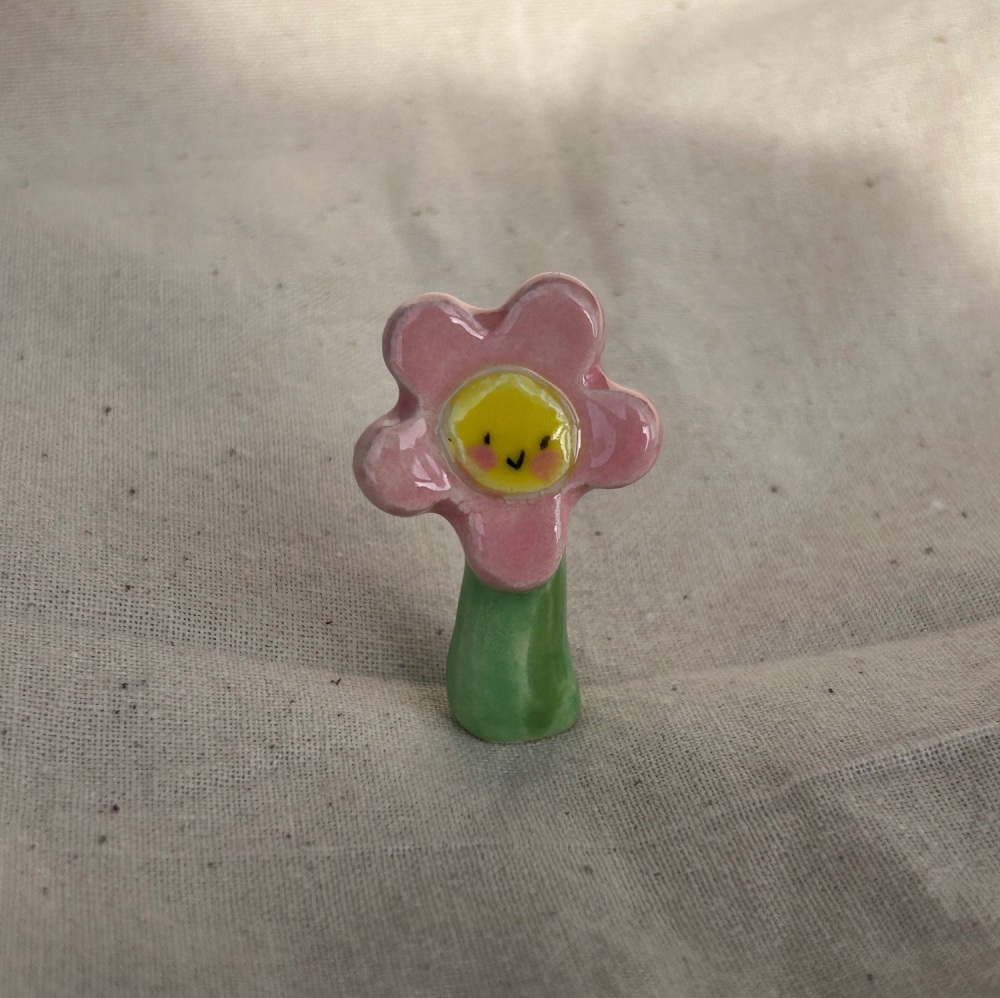 Pink Daisy
