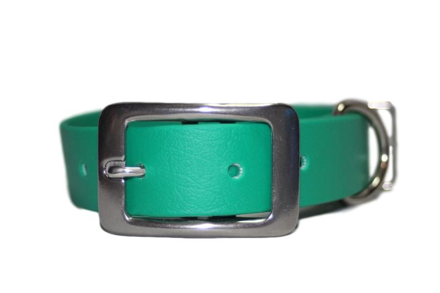 Emerald Green Biothane Buckle Collar
