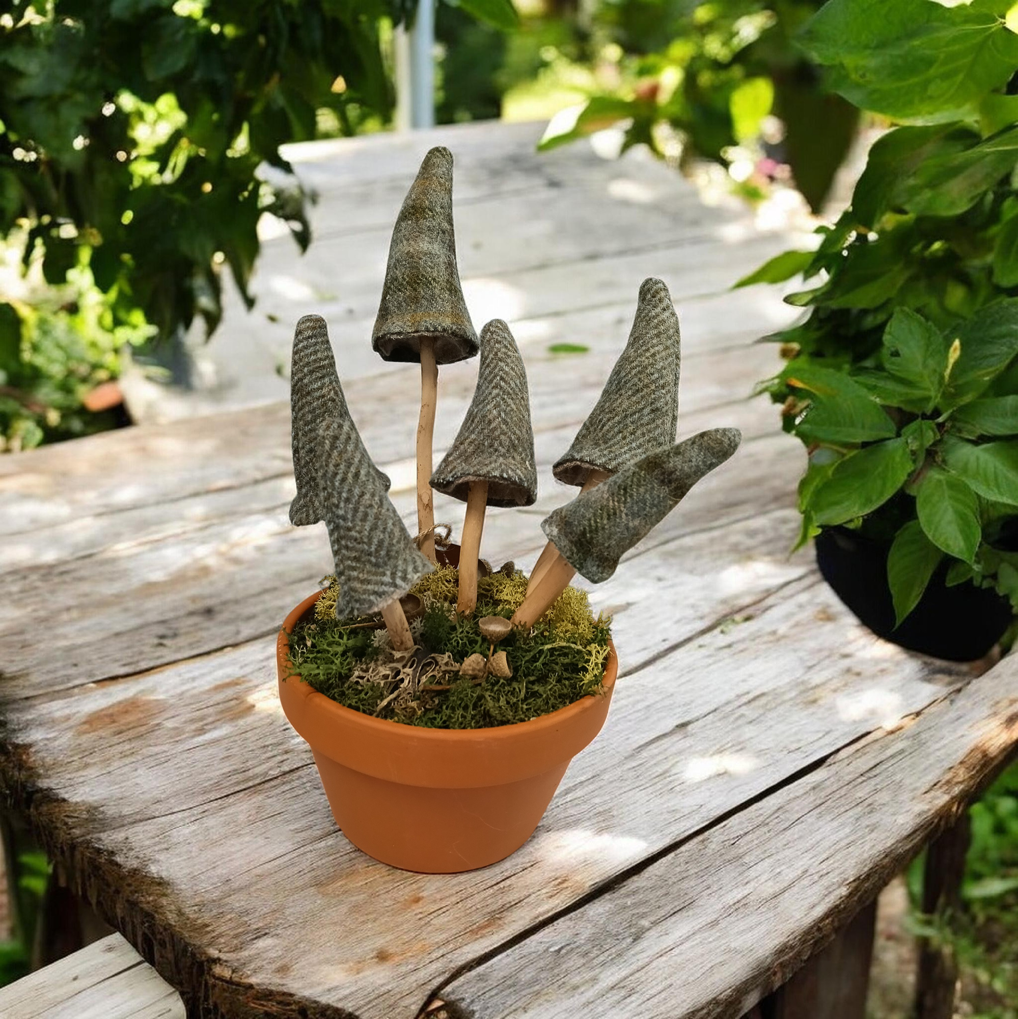 CDC Mushroom Pot