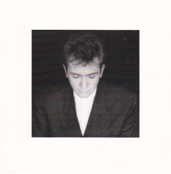 Peter  Gabriel    Shaking The Tree          1990 CD