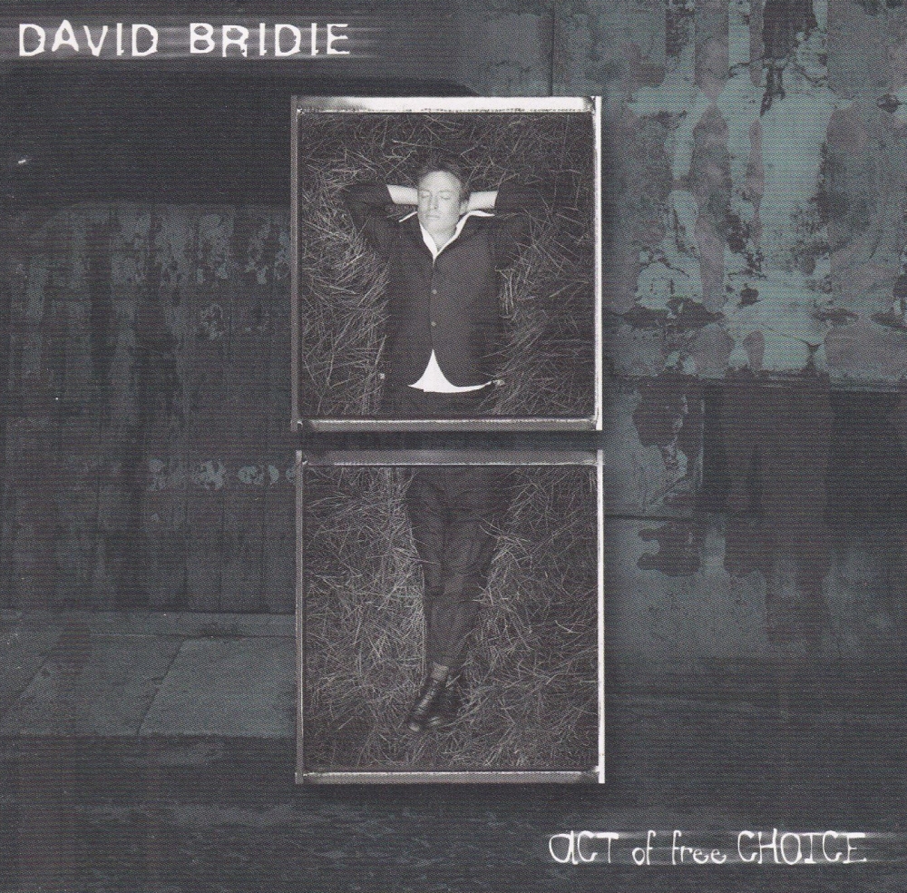 David Bridie          Act Of Free Choice         2000 CD