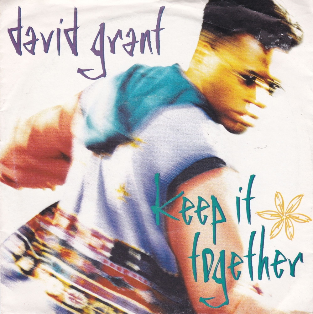 David Grant         Keep It Together       1990 Vinyl Single    Pre-Used