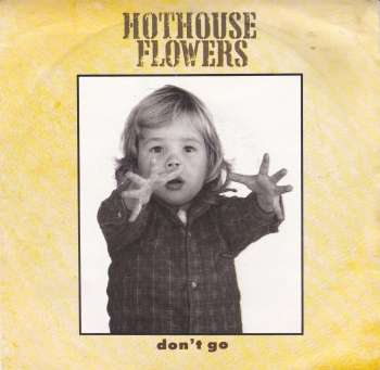 Hothouse Flowers     Don't Go      1988 Vinyl 7" Single  Pre-Used