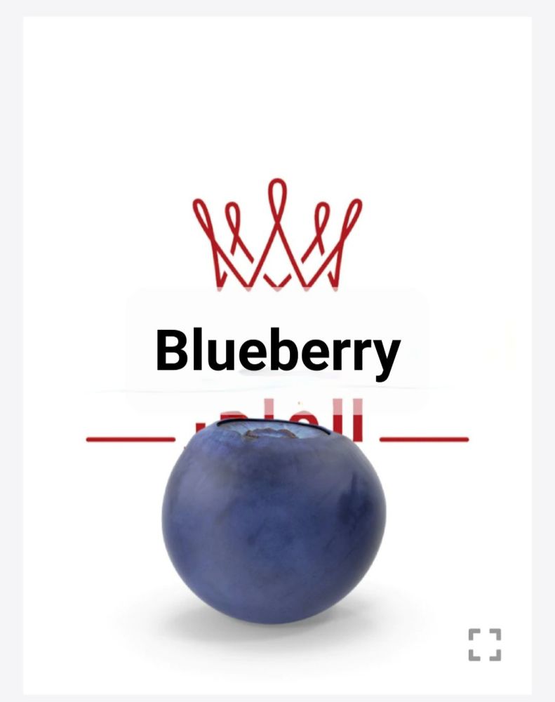 AL FAKHER BLUEBERRY FLAVOUR 200g X 2 = 400g  al fakher blueberry  flavour S