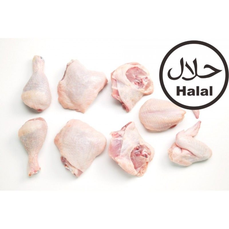 Top Quality Fresh Halal Chicken