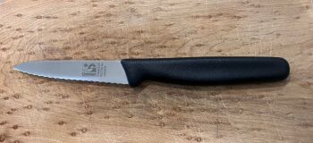 3" Paring knife; serrated blade