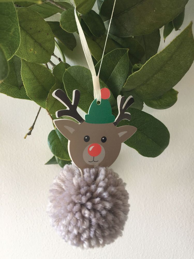 Pom Pom Decoration Kit - Reindeer