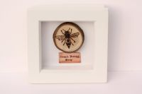 Wooden Framed Insect - Heath Potter Wasp