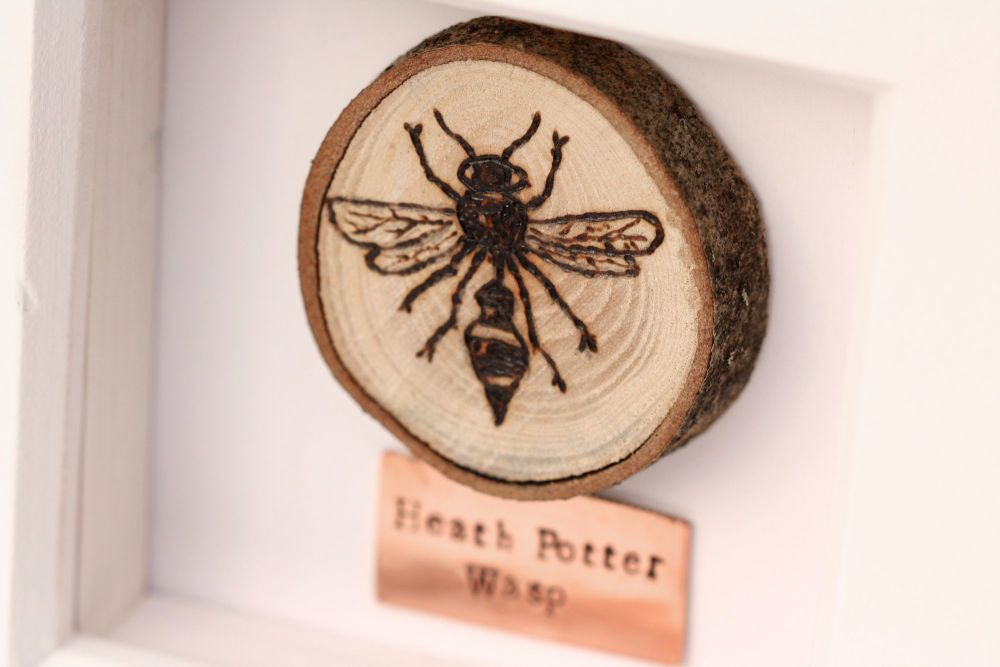Wooden Framed Insect - Heath Potter Wasp