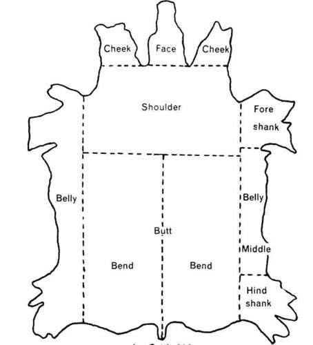 Diagram-of-Cut-Sections-of-Cattle-Hide1