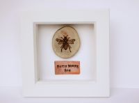 Wooden Framed Insect - Early Mining Bee