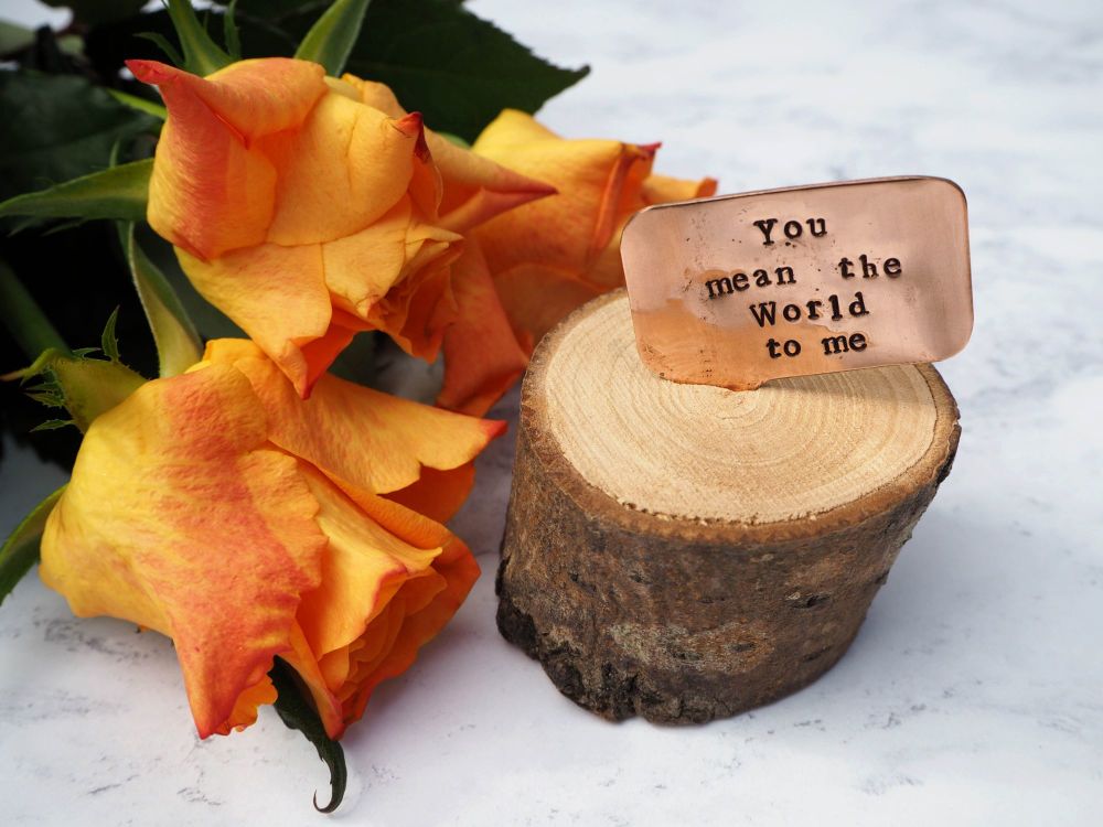 Wooden Log & Copper Quote Display - You mean the World to me