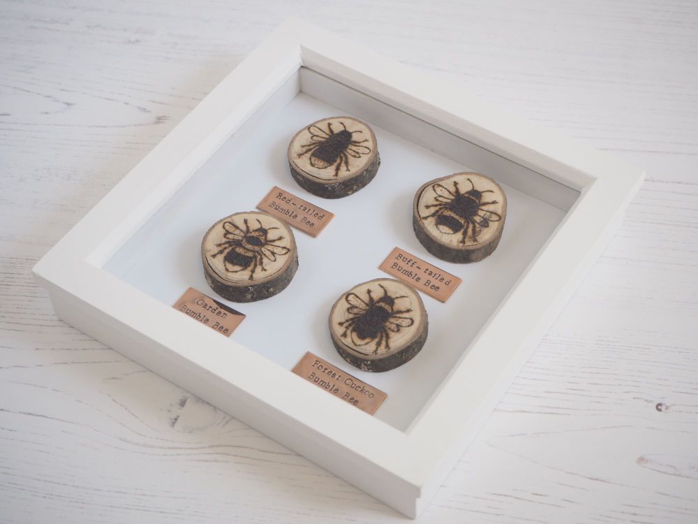 Wooden Framed Four Insects Wall Decor - British Bumble Bee Group