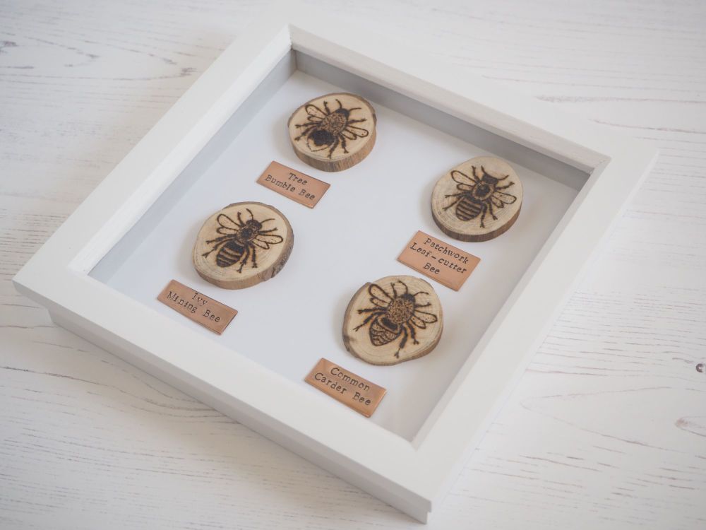 Wooden Framed Four Insects Wall Decor - British Bee Group