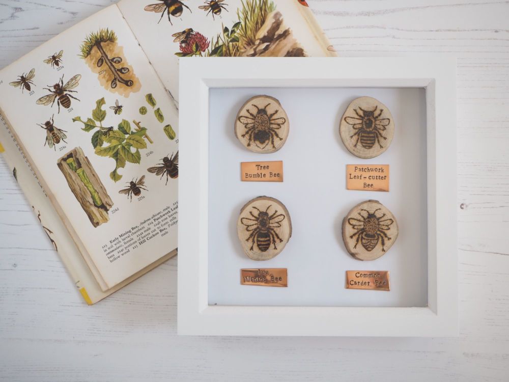 Wooden Framed Four Insects Wall Decor - British Bee Group