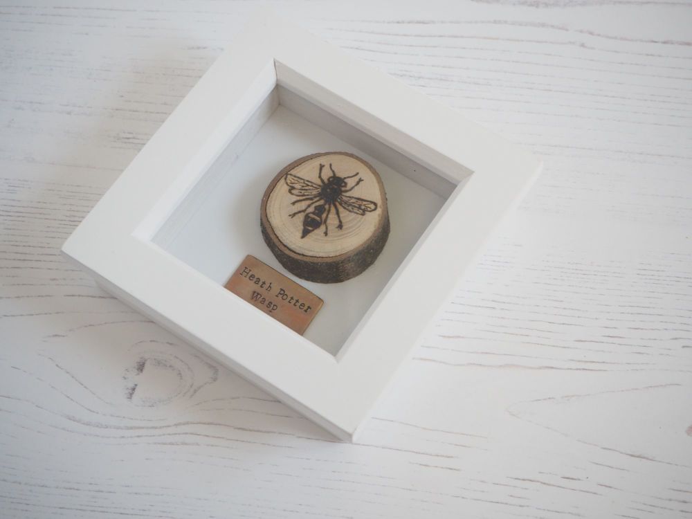 Wooden Framed Insect - Heath Potter Wasp