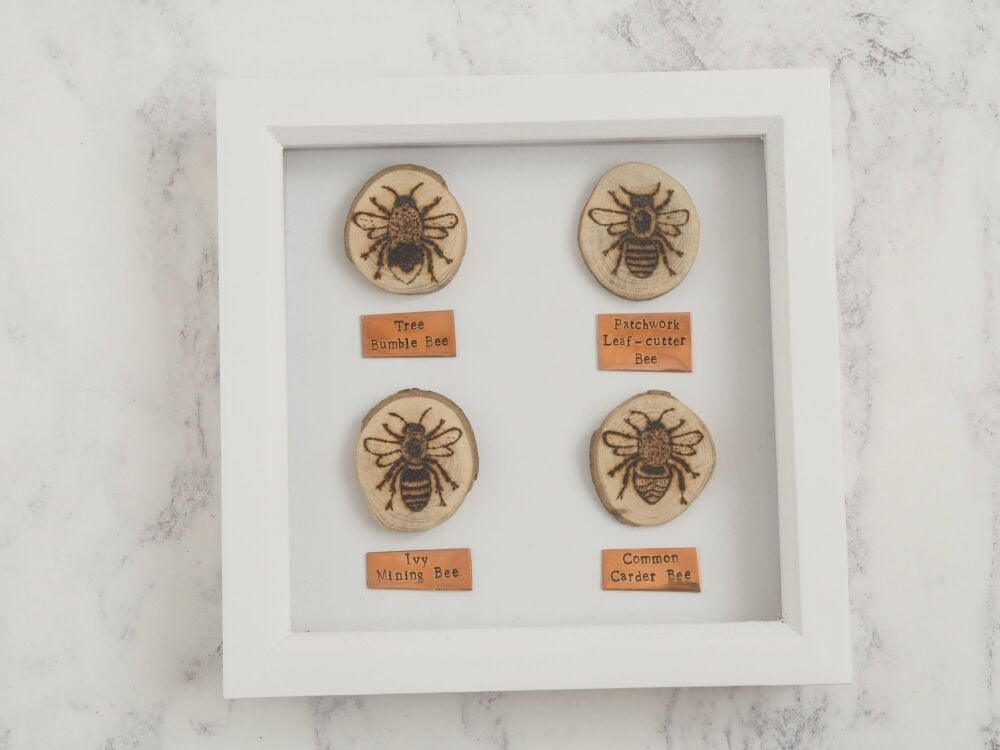 Wooden Framed Four Insects Wall Decor - SUPER SECONDS