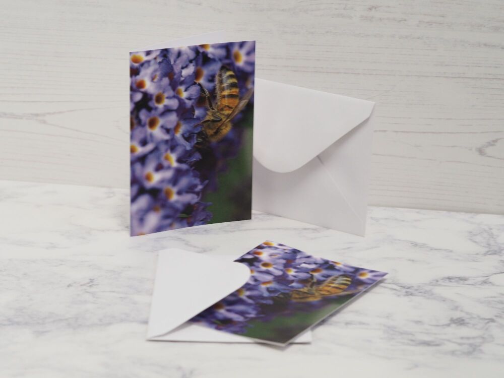 Photography Greetings Cards - Bee & Mushrooms - SUPER SECONDS